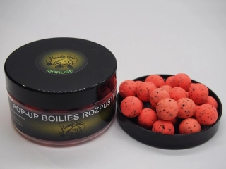 POP-UP ROZPUSTNÉ - MORUŠE