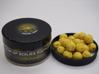 POP-UP ROZPUSTNÉ - ZÁZVOR-CHILLI