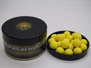 POP-UP ROZPUSTNÉ - ANÝZ