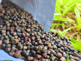 CARP PELLETS MIX